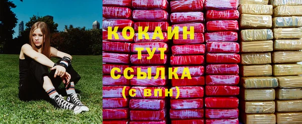 эйфоретик Гусев