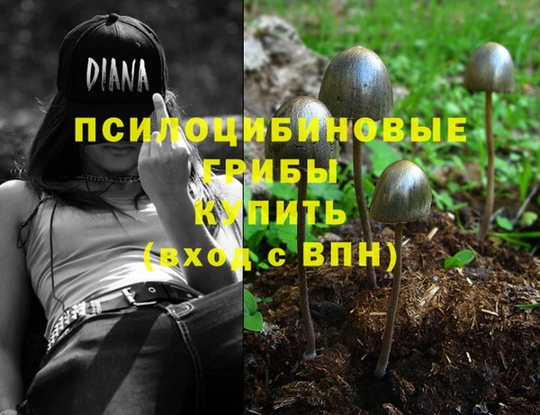 мет Гусиноозёрск