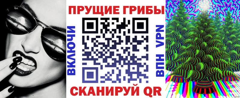 Галлюциногенные грибы Psilocybe  Купить где  Можайск 